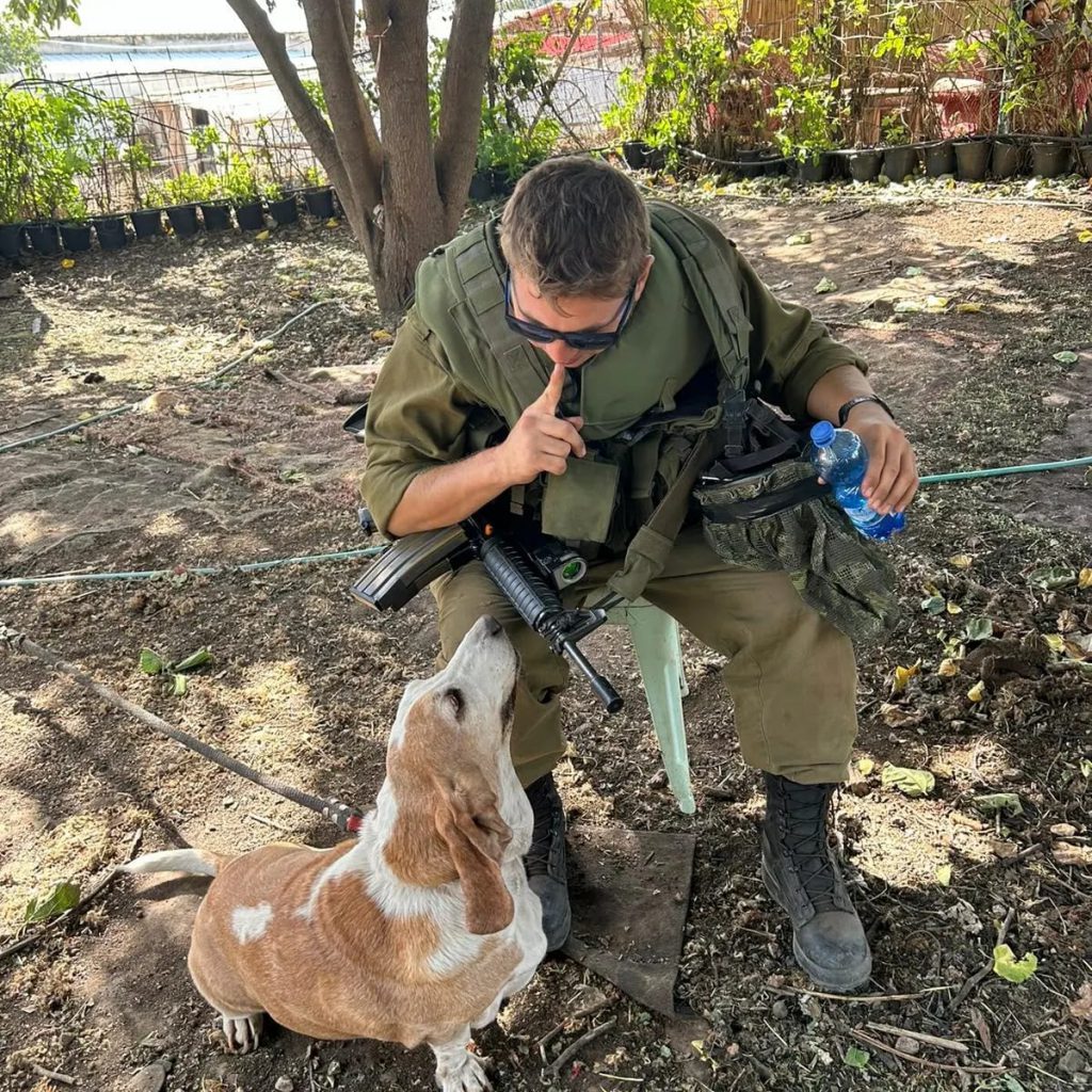 אקסל גנר – מומחה לאילוף כלבים